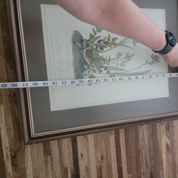 Field Bunting Print of Vintage Lithograph by JJ Audubon Matted & Framed - Picture 10 of 16